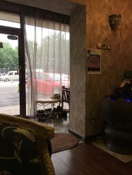 -紫御国际抗衰ZOE ANTI AGING