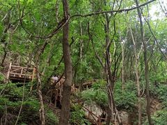 -大岭沟猕猴桃谷风景区