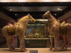 -西安大唐西市博物馆