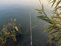 -漕湖湿地公园