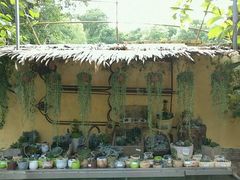 -宅里香.自然餐厅(湘大店)