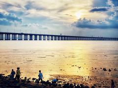 -宝安西湾红树林湿地公园