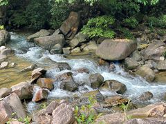 -广州白江湖森林公园