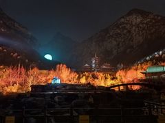 -禅宗少林·音乐大典