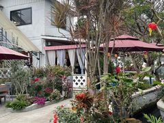 -天然居(伦教店)