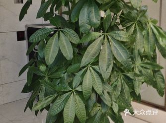 大家晚上好！这是我们美丽星辰的一楼前台！里面装修的是