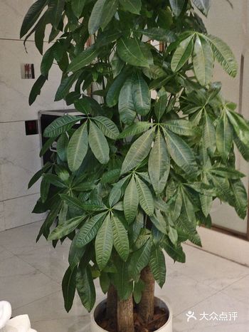 大家晚上好!这是我们美丽星辰的一楼前台!里面装修的是