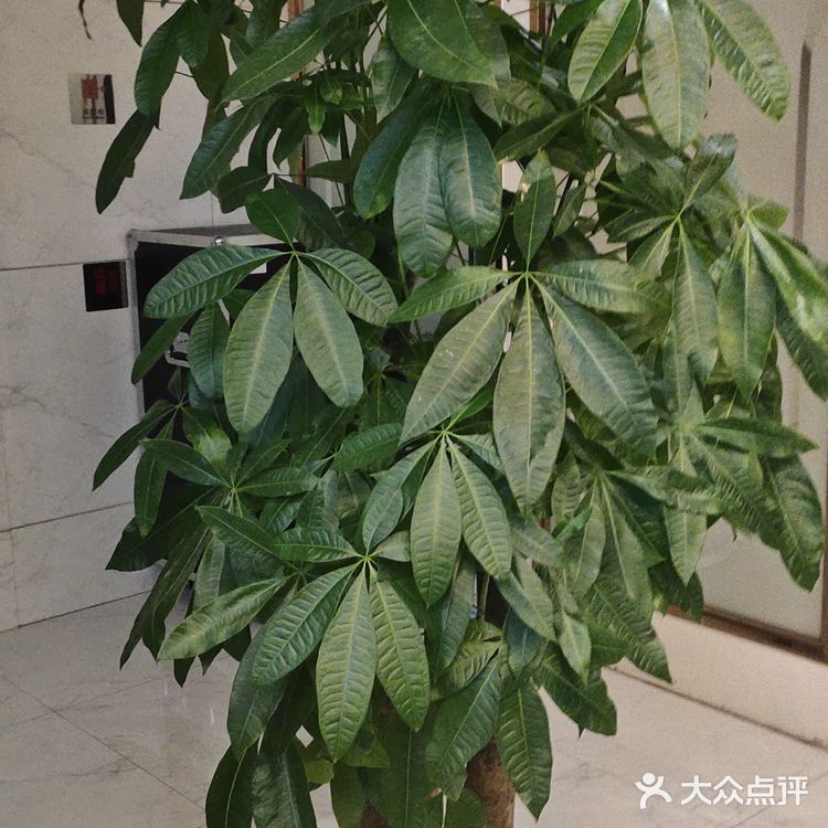 大家晚上好！这是我们美丽星辰的一楼前台！里面装修的是