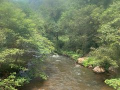 -五龙源极限漂流