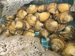 -震海贝烤贝·民俗特色店(延吉总店)