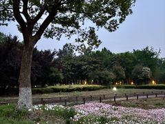 -阳澄湖半岛旅游度假区