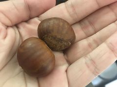 -阿男野栗王(金门路店)