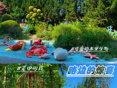 -东平国家森林公园