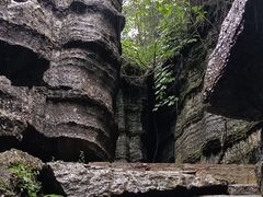 -梭布垭石林景区