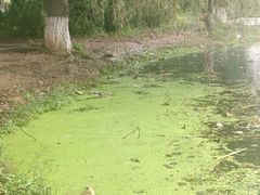 -前关湿地公园