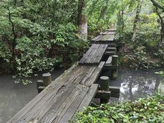 -杭州半山国家森林公园