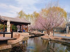 -三里河公园