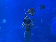 -太平洋海底世界