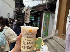 -猫的魔法密林(衣裳街店)
