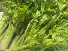 -77号渔船·蒸海鲜青岛菜(积米崖店)