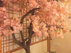 -汤泉良子.足疗按摩.SPA(中关村店)