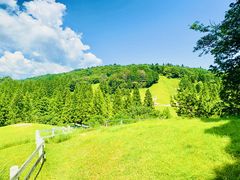 -神户市立六甲山牧场