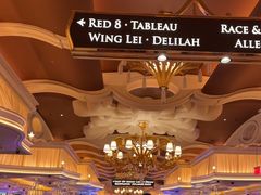 -拉斯维加斯永利酒店