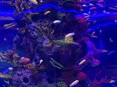 -石家庄极地海洋世界