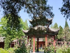 -洛阳白马寺