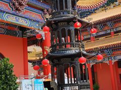 -东莞市大岭山森林公园