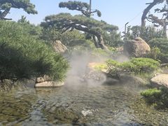 -罗红摄影艺术馆