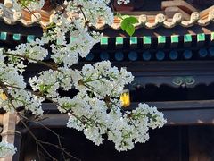 -西安化觉巷清真大寺