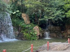 -广州市帽峰山景区