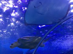 -多彩贵州城极地海洋世界