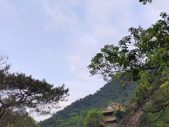 -南海湾森林生态园