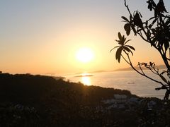 -东山矮马桶羊肉(太湖东山店)