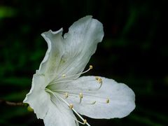 -上海植物园-4号门售票处