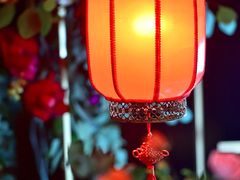 -成都保利公园皇冠假日酒店(熊猫基地店)