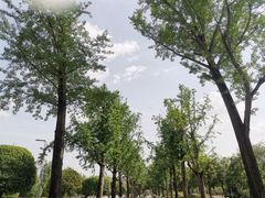 -重庆中央公园(渝北区)