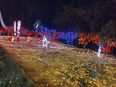 -青龙湖公园