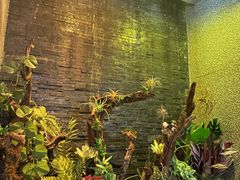 -泰适SPA馆丨精油·按摩·足道(后海地铁口店)