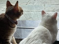 -天后宫民俗文化街