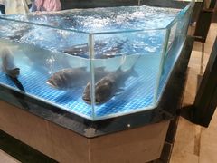 -绿杨春·淮扬宴(庐山路店)
