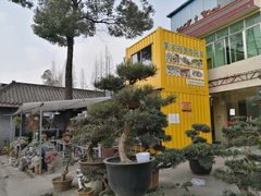 -金科花卉市场