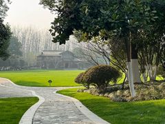 -合肥滨湖国家森林公园