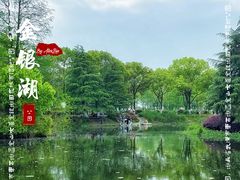 -金银湖国家城市湿地公园