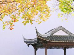 -老门东历史文化街区
