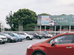 -大宁郁金香公园-停车场