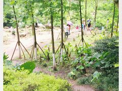 -重庆彩云湖湿地公园