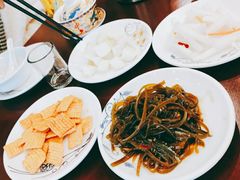 小菜-火焰金龟甲(汉阳江滩旗舰店)